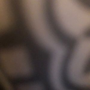 Meet your Posher, Bailey